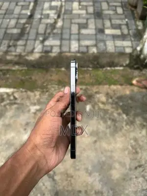 Apple iPhone 12 Pro Max (Used)