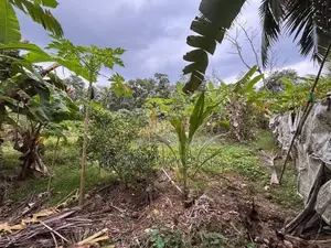 Land for Sale in Horana