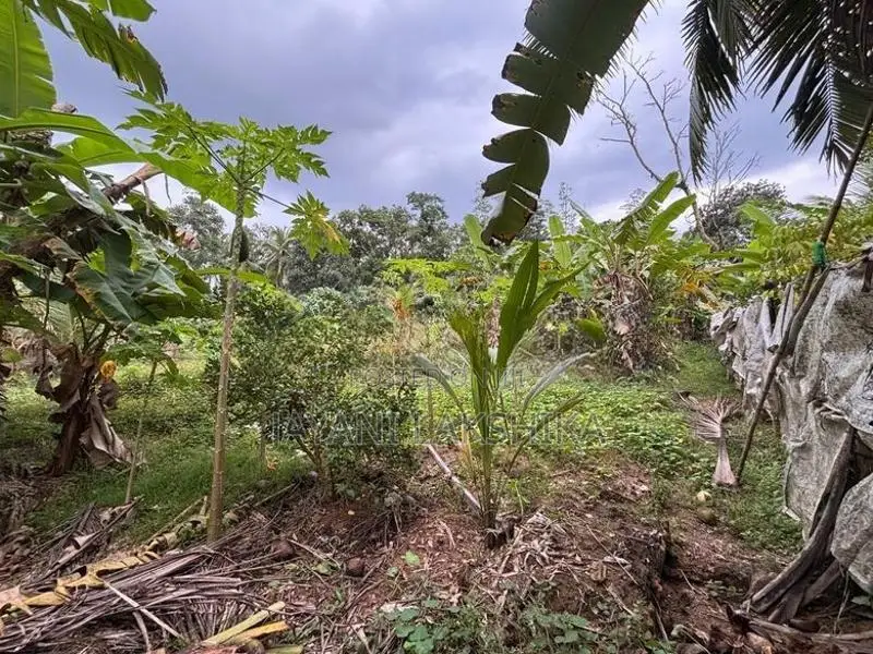 Land for Sale in Horana