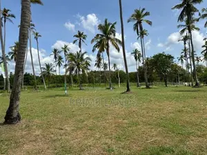 වාරියපොල නගරයෙන්ම සින්නක්කර බිම්කොටස්