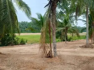 කඩවත වෑබඩ සුපිරි බිම්කොටස්