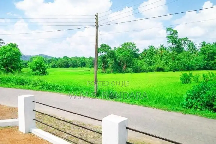 Near Dambadeniya Hospital Land for Sale P3