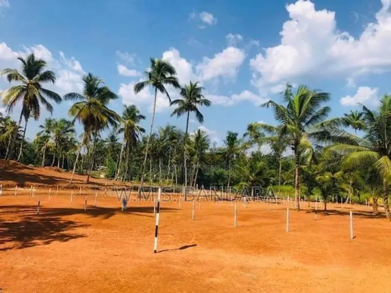 Well Developed Land for Sale in Pasyala P4