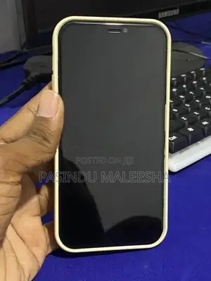 Apple iPhone 12 (Used)