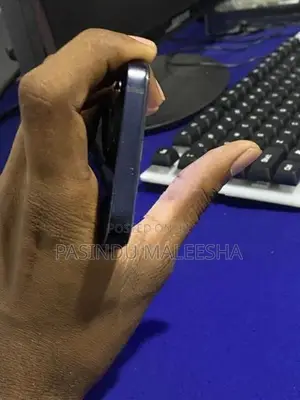 Apple iPhone 12 (Used)