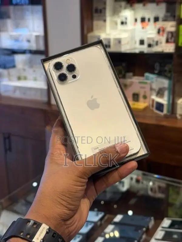Apple iPhone 12 Pro 256GB (Used)