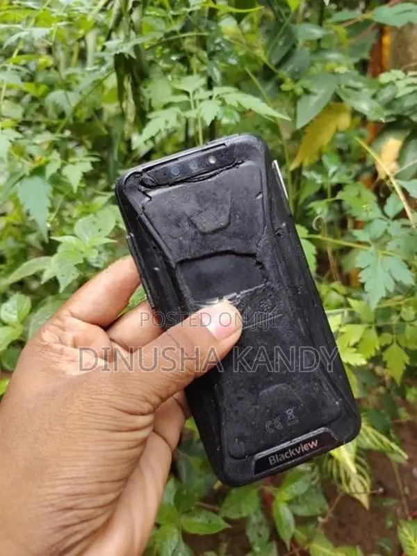 Black view BV5300 Plus (Used)