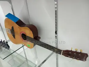 Samick Box Guitar