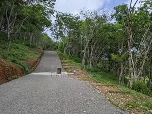 Land for Sale in Ahangama Tourism Area