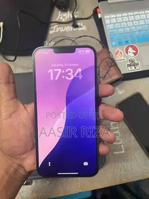 Apple iPhone 13 Pro Max 256GB (Used)