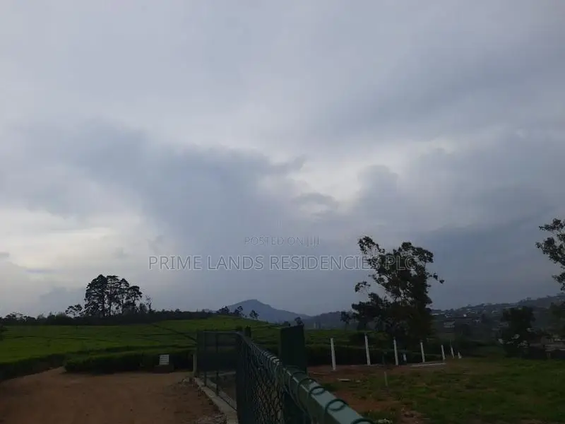 Valuable Land for Sale in Nuwara Eliya