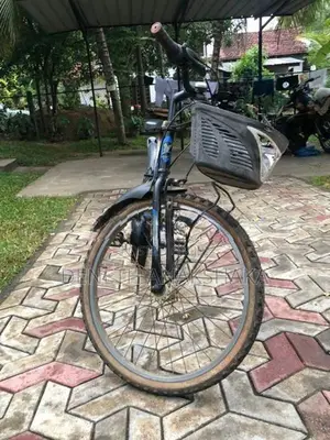 Amarican Egale Japan Bicycle