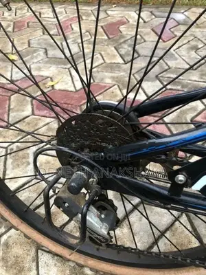 Amarican Egale Japan Bicycle