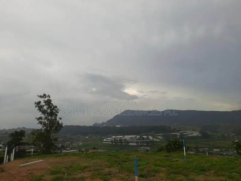 Valuable Land for Sale in Nuwara Eliya