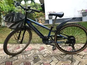 Amarican Egale Japan Bicycle