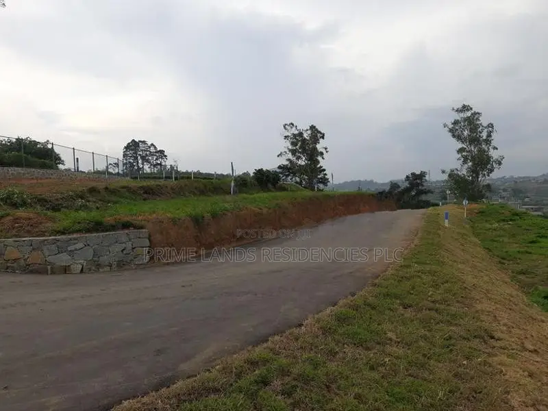 Valuable Land for Sale in Nuwara Eliya