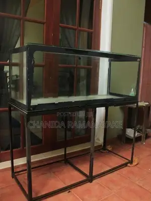 4ft Fish Tank