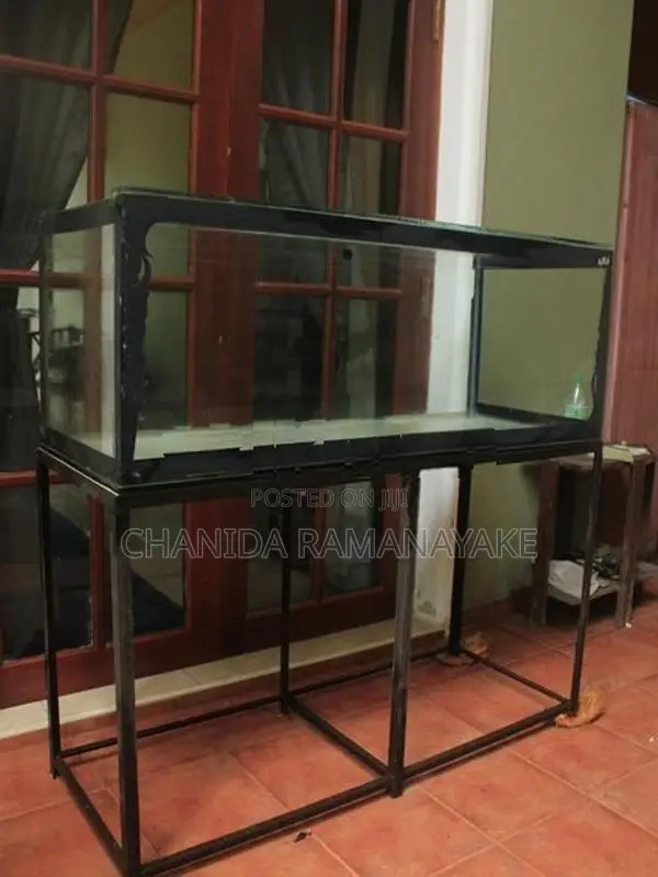 4ft Fish Tank
