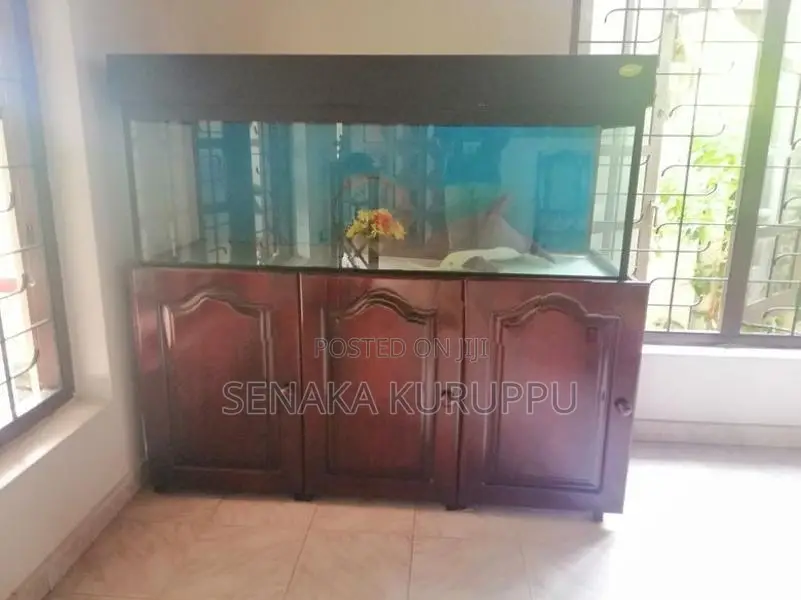 Fish Tank with Stand