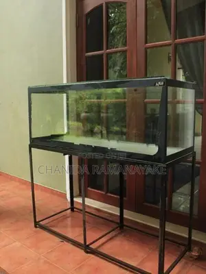 4ft Fish Tank