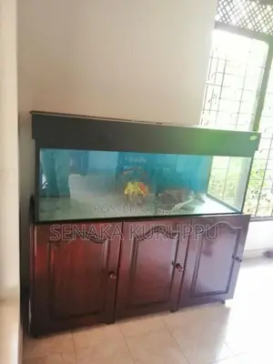 Fish Tank with Stand