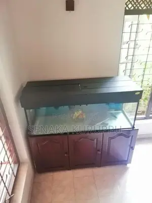 Fish Tank with Stand