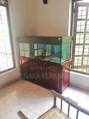 Fish Tank with Stand