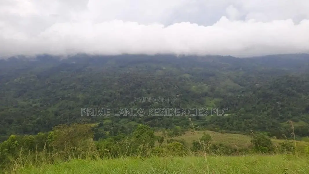 Land for Sale in Nillamba