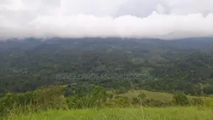 Land for Sale in Nillamba