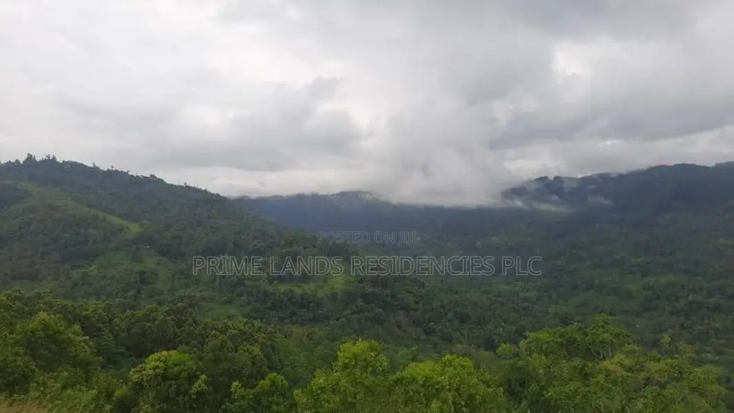 Land for Sale in Nillamba