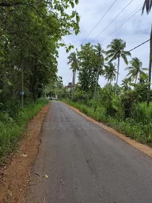 Land for Sale Bingiriya