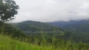 Land for Sale in Nillamba