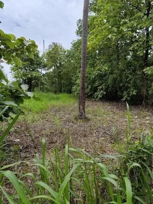 Land for Sale Bingiriya