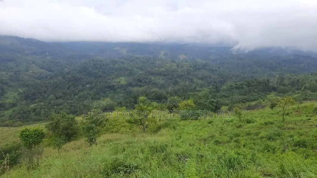 Land for Sale in Nillamba