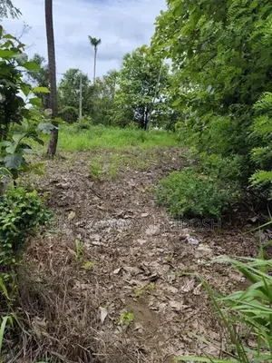 Land for Sale Bingiriya