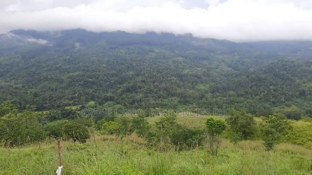 Land for Sale in Nillamba
