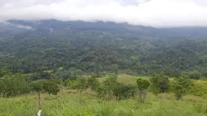 Land for Sale in Nillamba