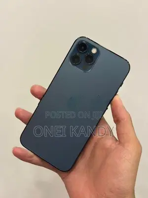 Apple iPhone 12 Pro 256GB (Used)