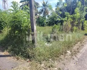 කොට්ටාව පොල්ගස්ඕවිට ජාලියගමින් වටිනා පර්චස් 33ක ඉඩමක් විකිනීමට(kki62d)
