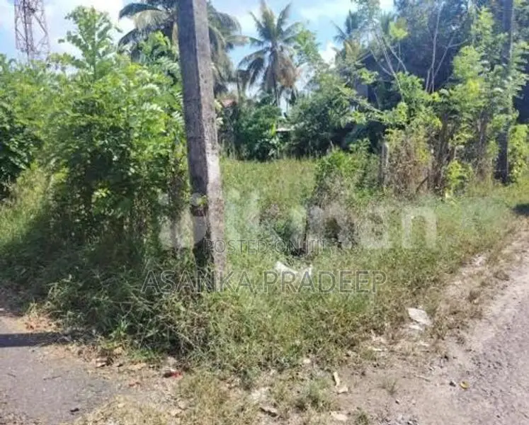 කොට්ටාව පොල්ගස්ඕවිට ජාලියගමින් වටිනා පර්චස් 33ක ඉඩමක් විකිනීමට(kki62d)