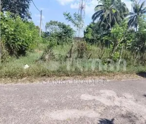 කොට්ටාව පොල්ගස්ඕවිට ජාලියගමින් වටිනා පර්චස් 33ක ඉඩමක් විකිනීමට(kki62d)