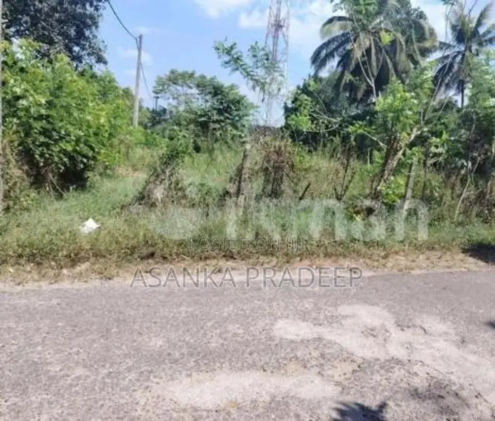 කොට්ටාව පොල්ගස්ඕවිට ජාලියගමින් වටිනා පර්චස් 33ක ඉඩමක් විකිනීමට(kki62d)