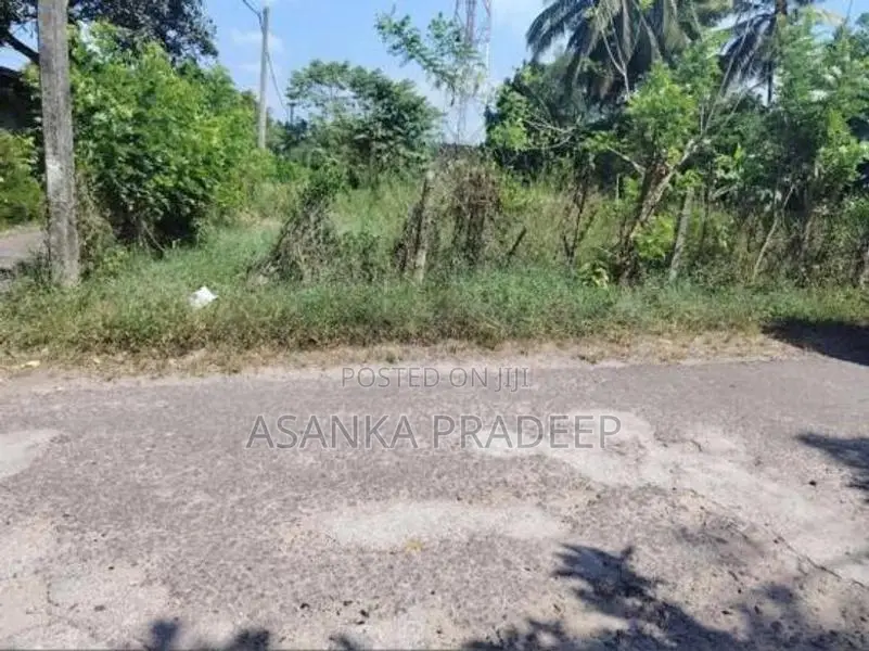 කොට්ටාව පොල්ගස්ඕවිට ජාලියගමින් වටිනා පර්චස් 33ක ඉඩමක් විකිනීමට(kki62d)