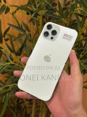 Apple iPhone 12 Pro Max 256GB (Used)
