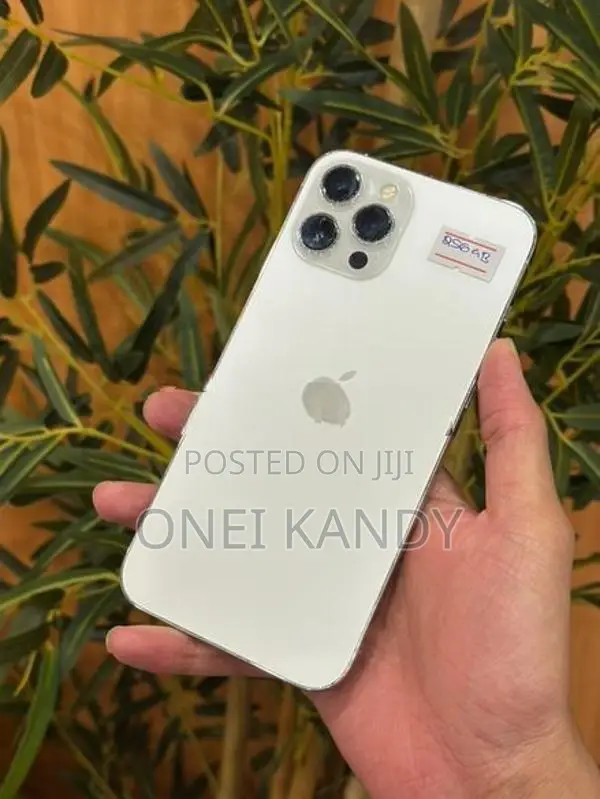 Apple iPhone 12 Pro Max 256GB (Used)