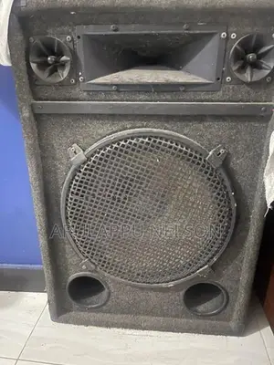 Sax 300 Studio Speaker
