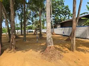 Best Land Sale in Walisara
