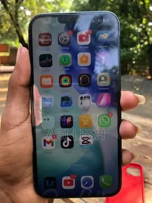 Apple iPhone 13 Pro Max 2022 (Used)