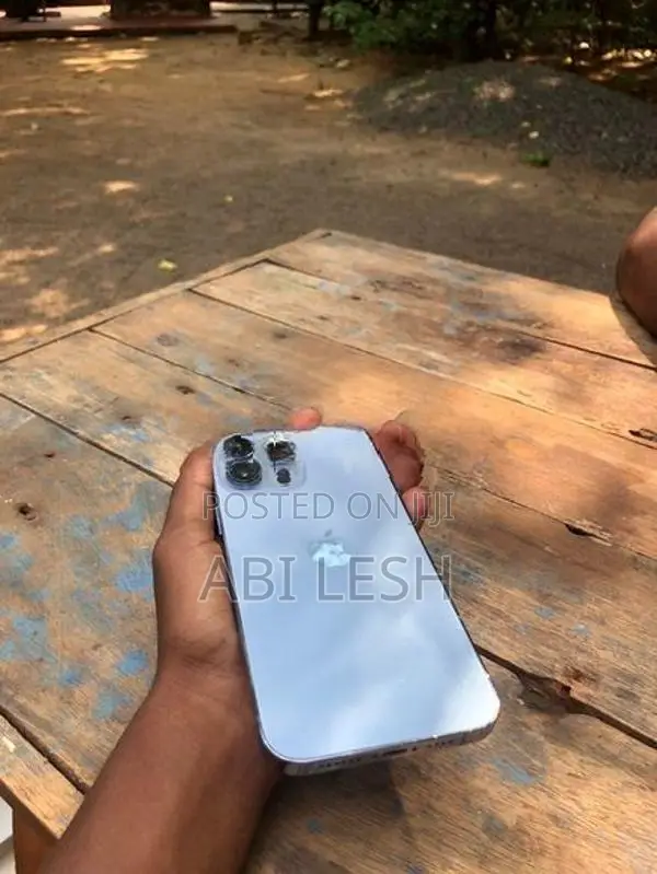 Apple iPhone 13 Pro Max 2022 (Used)