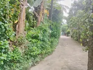 ගාල්ල බද්දේගම ප්‍රධාන පාරට 20m දුරින් මිපාවල ඉඩමක් විකිනිමට ඇත